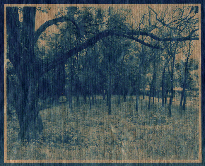 cyanotype-kraft-marc-stage.jpg